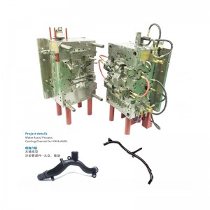 Water-assisted mold